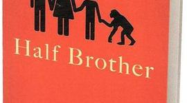 Timeline: Half Brother BES Report