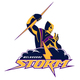 Storm logo