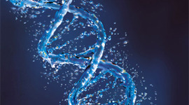 Timeline: Principales descucbrimientos del ADN