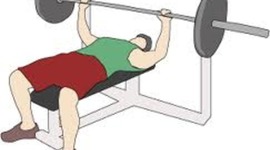 Timeline: weight lifting/ being fit