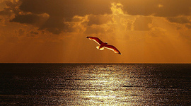 Timeline: Historia de la literatura