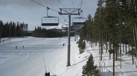 Timeline: Associated Estates