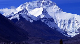 Timeline: Lauren's Timeline