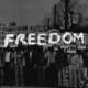 Aa freedom