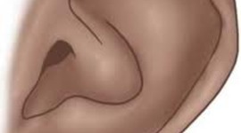 Timeline: The History of Sound