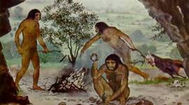 Timeline: Evolucion del hombre