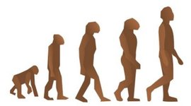 Timeline: Origen & Evolucion Del Hombre