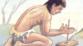 Timeline: Evolucion de vida en la tierra