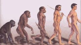 Timeline: Evolución de la vida en la Tierra