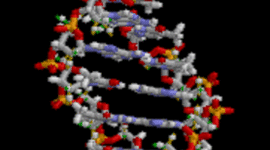 Timeline: The History of DNA
