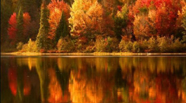 Timeline: October 2009