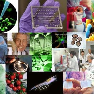 Timeline: El avance de la Biotecnología