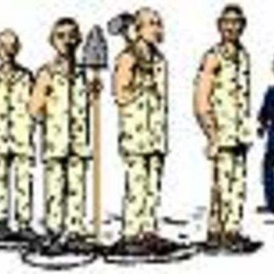 Timeline: Lucy's timeline