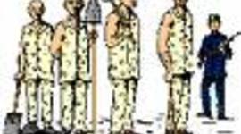 Timeline: Lucy's timeline