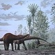 Diplodocus