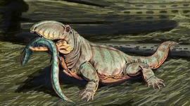 Timeline: Paleozoic