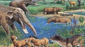 Timeline: the cenozoic
