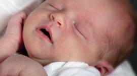 Timeline: toddler dev timeline