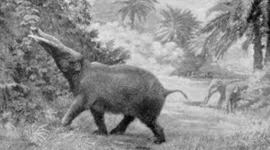 Timeline: Cenozoic