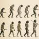 Evolucion h