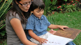 Timeline: Toddler Timeline