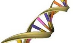 Timeline: Descubrimientos del ADN