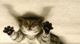 Timeline: Civil War in the Time Toaster