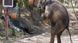 Timeline: United States Civil War