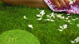 Timeline: I'm not her