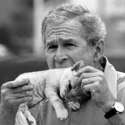 Timeline: Presidents