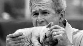 Timeline: Presidents