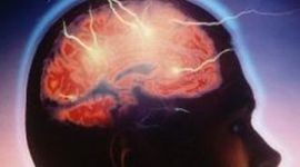 Timeline: HISTORIA DE LA PSICOLOGIA UNIVERSAD