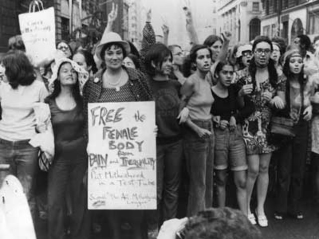 A History Of The American Sufferagist Movement timeline | Timetoast ...