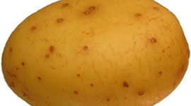 Timeline: International Organizations