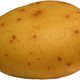 Potato