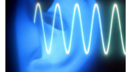 Timeline: L'évolution des apareils de reproduction