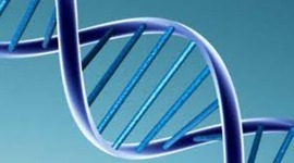 Timeline: HISTORIA DE LA GENÉTICA