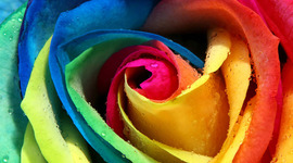 Timeline: Civil War Timeline