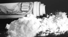 Timeline: North Shore Drug Cartel