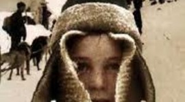 Timeline: Gold Rush Kid