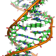 220px benzopyrene dna adduct 1jdg