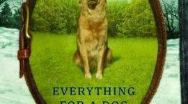 Timeline: EVERYTHING FOR A DOG