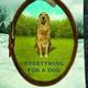 Everything for a dog