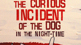 Timeline: The Curious Incident of the Dog in the Nightime