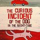 Curious incident