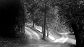 Timeline: El Jardín de los Senderos que se Bifurcan