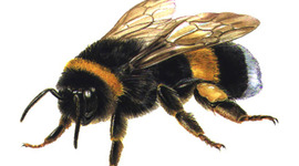 Timeline: Den svenska välfärdsstaten