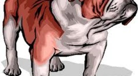 Timeline: CHS 2020 Blueprint