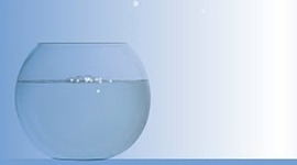 Timeline: Out of My Mind