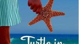 Timeline: Turtle in Paradise